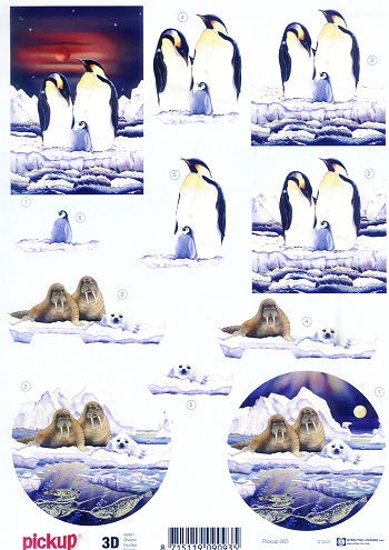 3D Motivbogen Pinguin und Walross