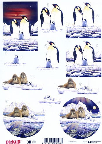 3D Motivbogen Pinguin und Walross