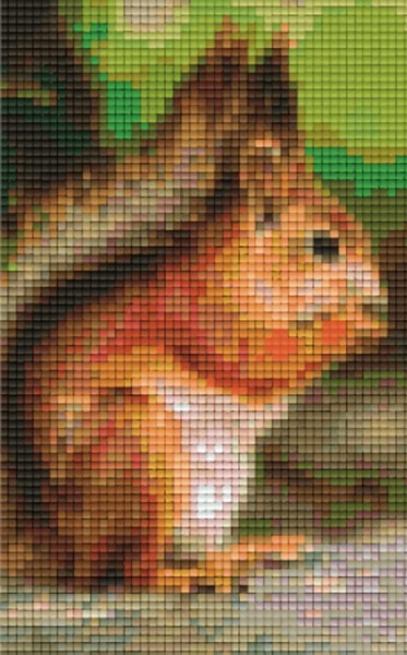 802106 Pixelhobby Klassik Set Eichhörnchen 5